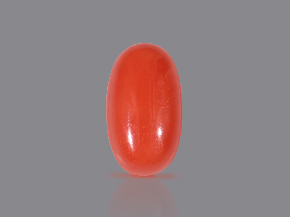 Red Italian Coral - 4.55 Carats